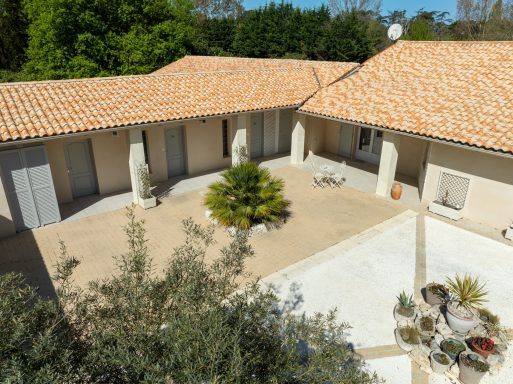 Terrasse ensoleillée avec végétation, au cœur des hébergements.